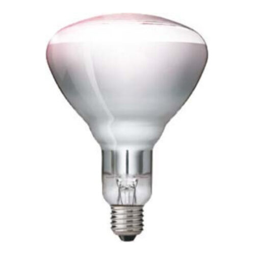 Philips Lighting Infrarot-Heizstrahler 250W E27 230-250V IR 250 CH