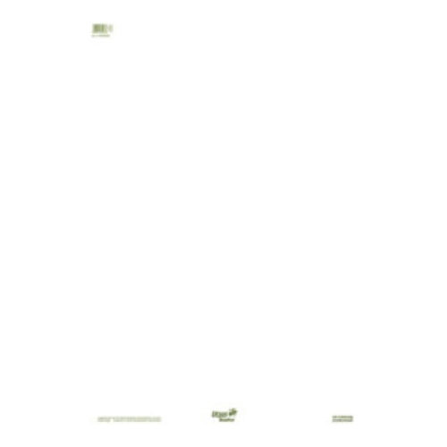 Staufen Flipchartblock Green 608580000 68x99cm 20Bl. blanko